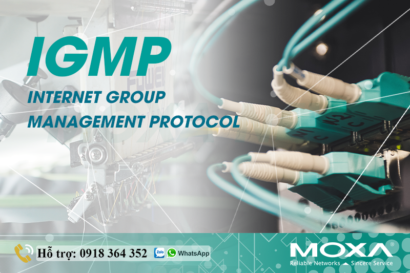 igmp-internet-group-management-protocol-la-gi.png